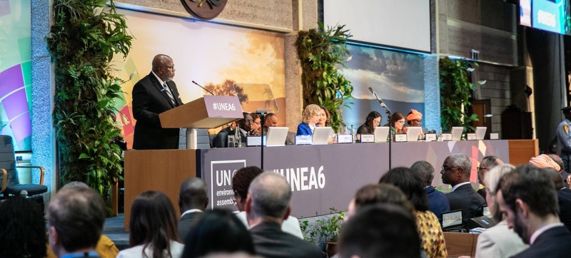 UN Environment Assembly: global challenges and solutions