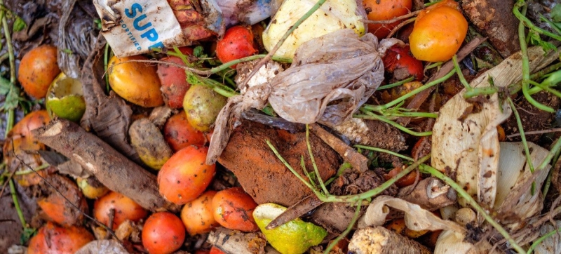 While 783 million people go hungry, a fifth of food produced is wasted