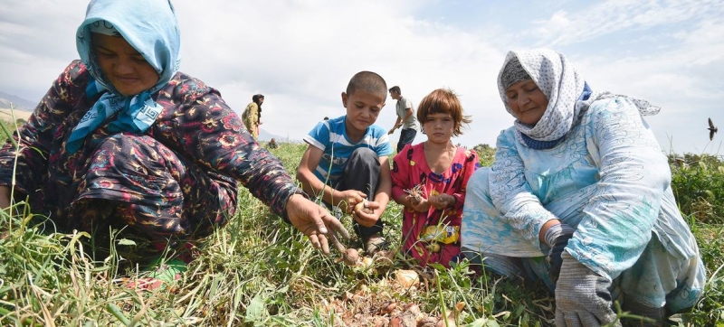 WFP will provide cash assistance to vulnerable families in Tajikistan