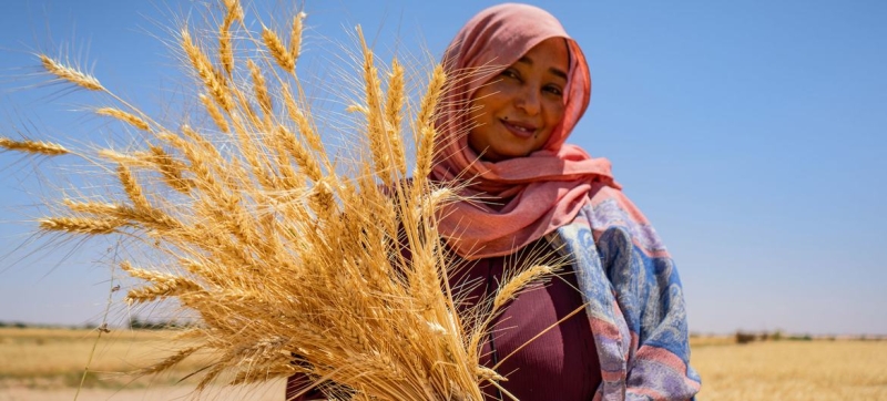 FAO predicts record grain harvest