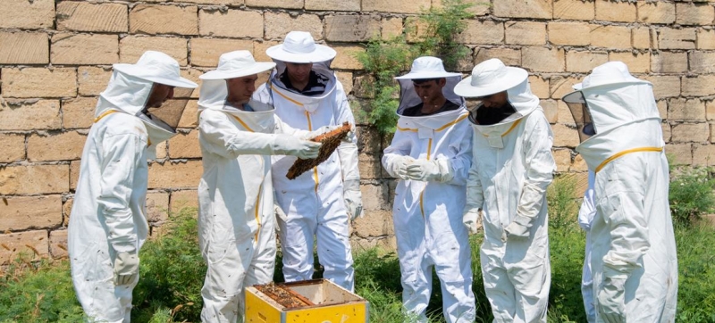 UN Helps Young Azerbaijani Become Honey Guru