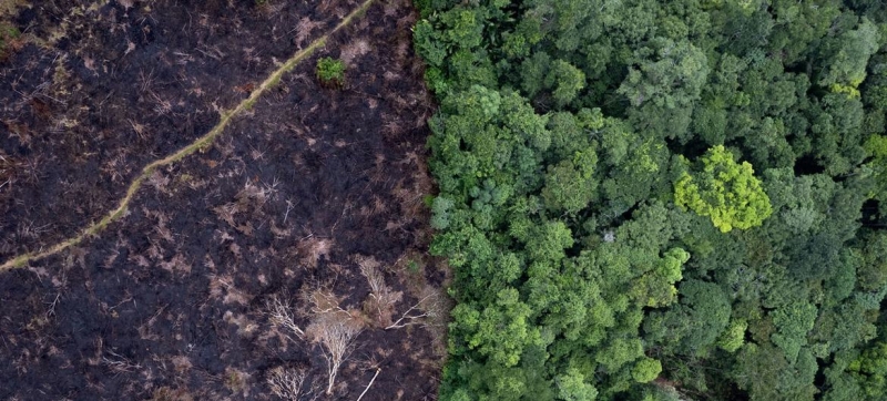 G20 Summit: Brazil, UN and UNESCO Launch Global Initiative on Climate Change Information Integrity