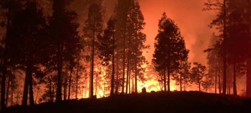 UN chief expresses condolences over California wildfires