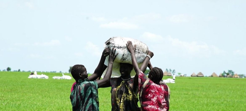 South Sudan: Political crisis and corruption fuel violence