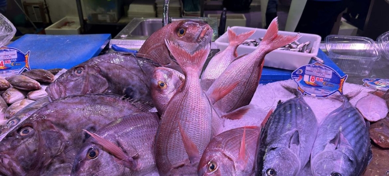 IAEA helps combat seafood fraud using nuclear technology