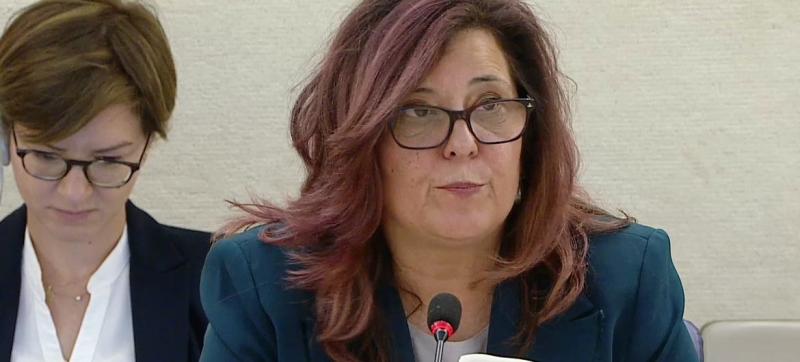 The Special Rapporteur on human rights in Russia presented a new report to the UN General Assembly