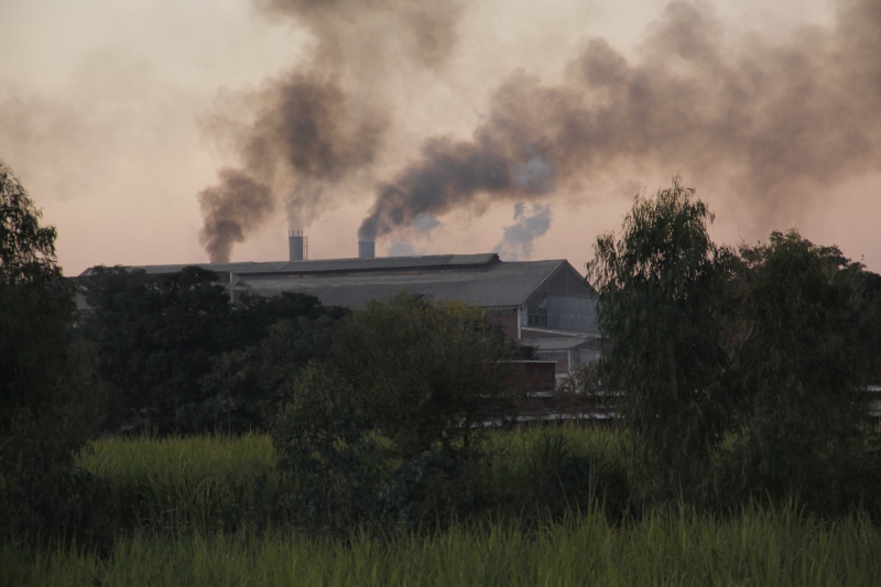 Что важно знать об изменении климата: эксперт ВМО – о тревожных тенденциях, потоках дезинформации и необходимости совместных действий