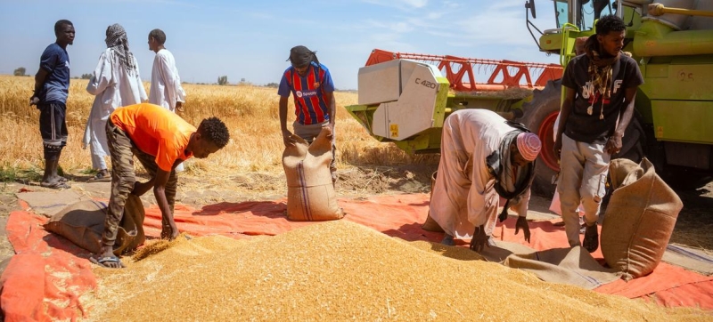 Глобальные цены на продовольствие снизились в октябре