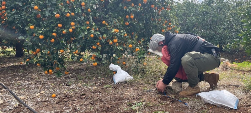 The number of victims of anti-personnel mines has reached a four-year high.