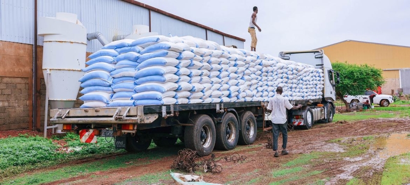 FAO: $2.5 billion needed for food and agriculture assistance in 2026