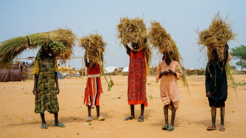 Истории с передовой: фотограф Джайлс Дьюли – о реалиях жизни с инвалидностью в условиях войны