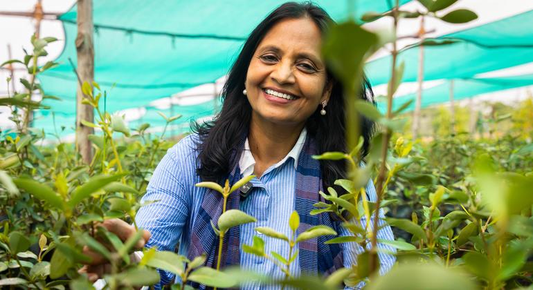 Премия «Чемпионы Земли» за 2025 год: климатическая справедливость и инновационные технологии