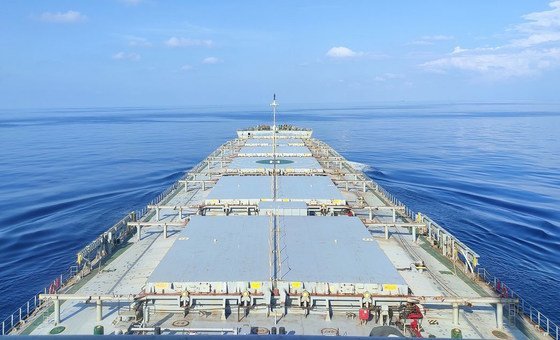 Гуманитарный кризис на Ближнем Востоке: угроза мировым поставкам продовольствия