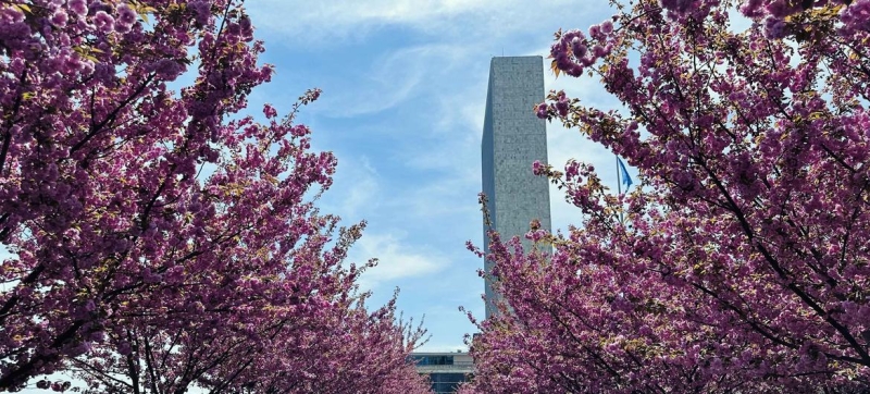 Глава ООН приветствует прекращение огня между США и Ираном