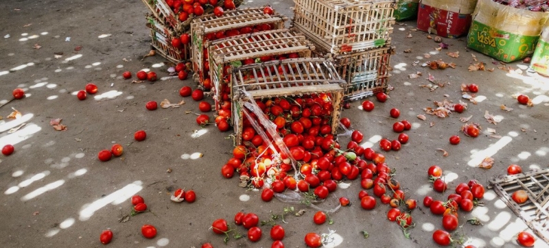 A world without waste: how to save tons of food and feed millions of people