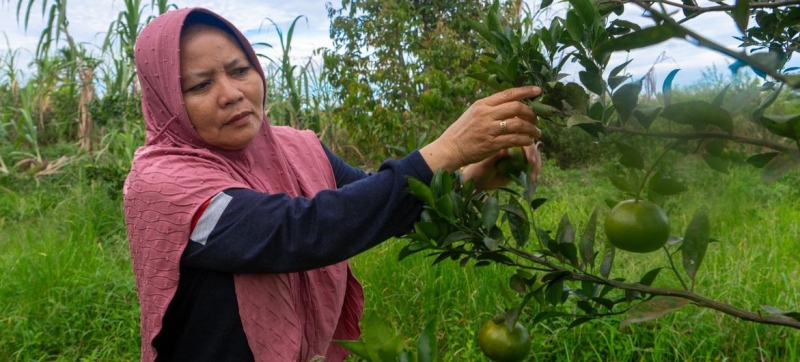 New study: forest sector employs 42 million people