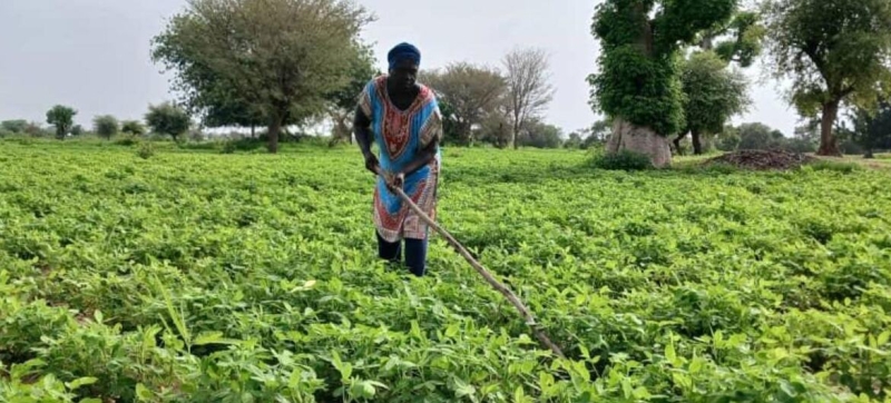 UN: Hunger in Africa rises for eighth year in a row