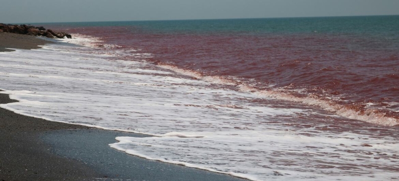 Top news of the day | Tuesday: climate, Strait of Hormuz, peacekeepers, Central African Republic