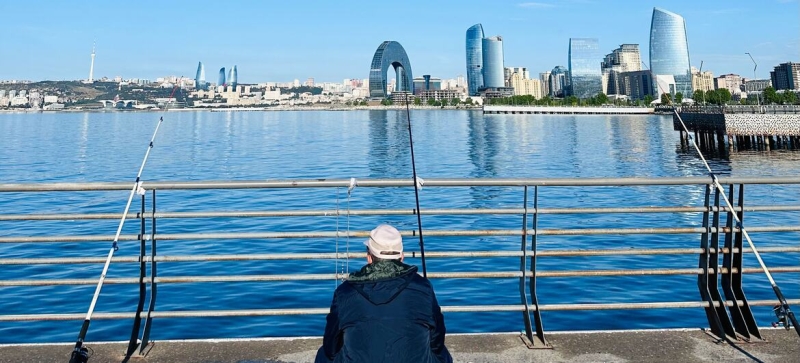 World Environment Day: protect environmental activists and save the Caspian Sea