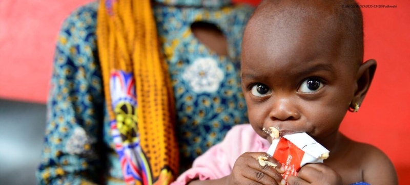 Hunger is receding, but the goal is still far away: the UN warned of new threats to global food security