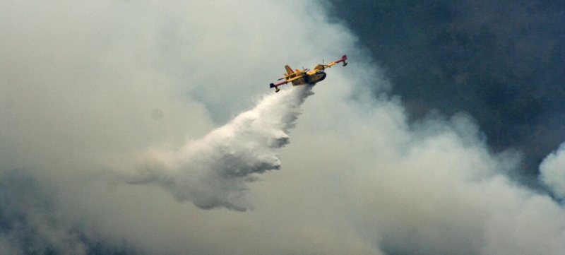 Fires in Europe and North America: almost 6 million hectares of forest burned