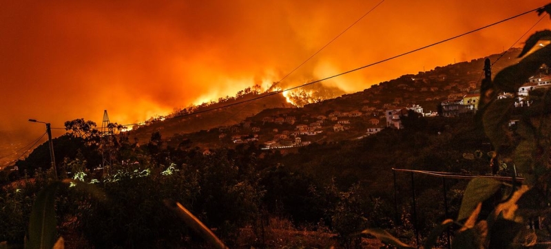 WHO: how to protect health from the consequences of forest fires