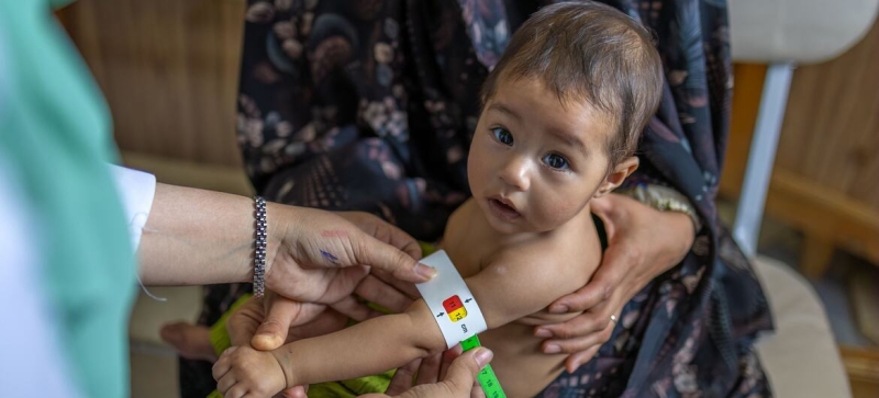Humanitarian crisis in Afghanistan: millions of people left without food aid