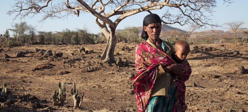 El Niño intensifies: acute hunger threatens nearly 50 million people