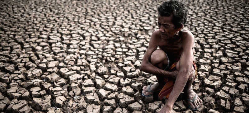 El Niño is gaining strength: the planet faces six months of abnormal heat