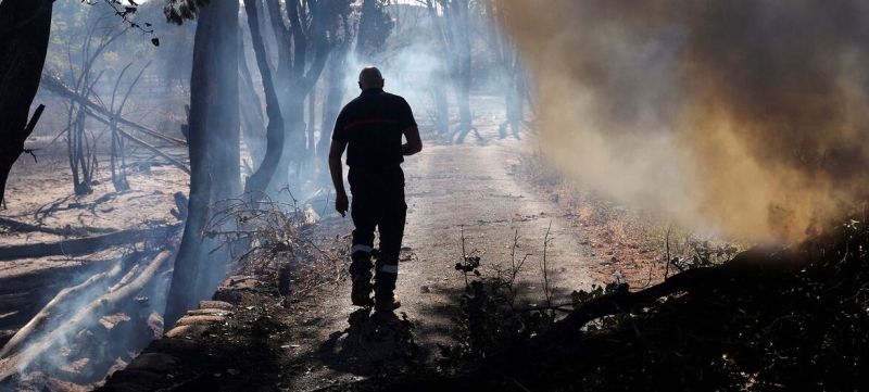 Forest fires threaten new parts of Europe: WHO supports emergency preparations