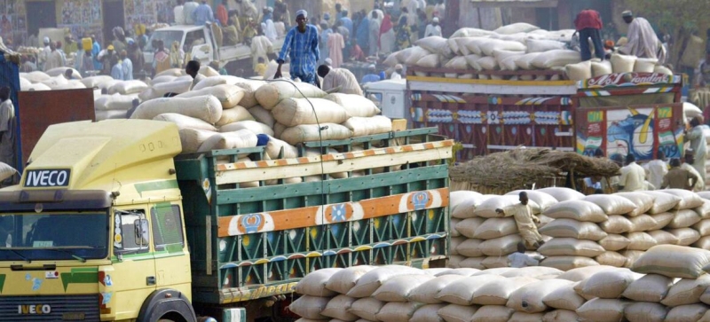 Global food prices rose in August amid heat and conflict